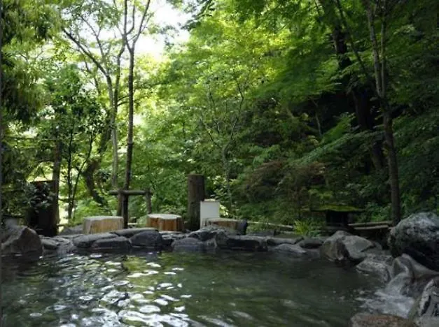 Hotel Nanpuso Hakone 3*,  Japan