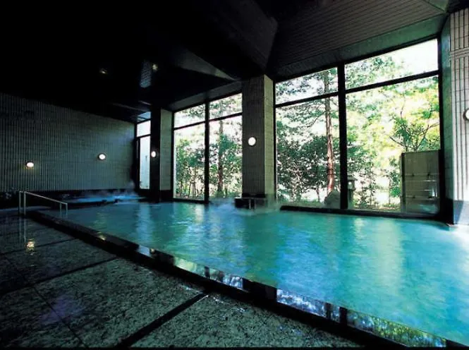 Hotel Nanpuso Hakone Japan